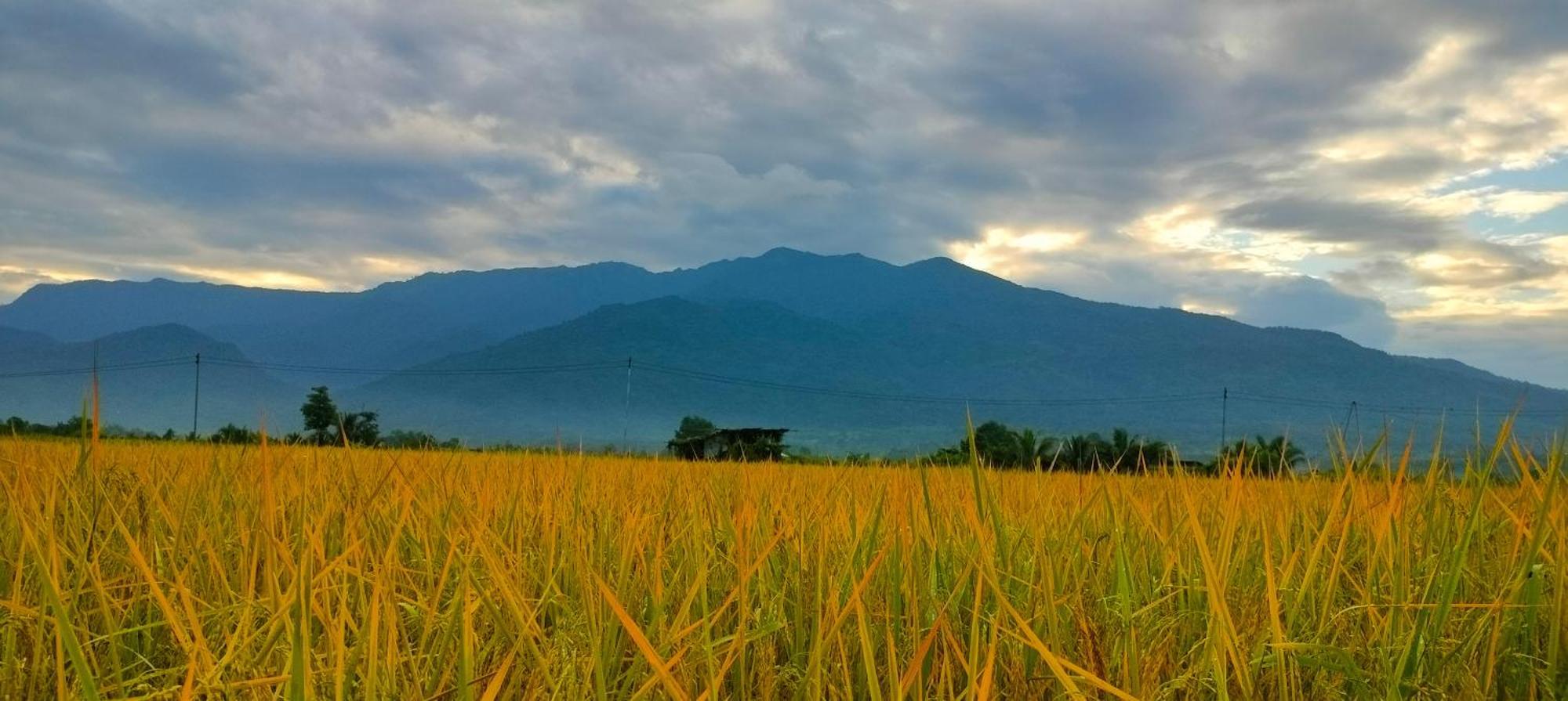 Poonsap Homestay